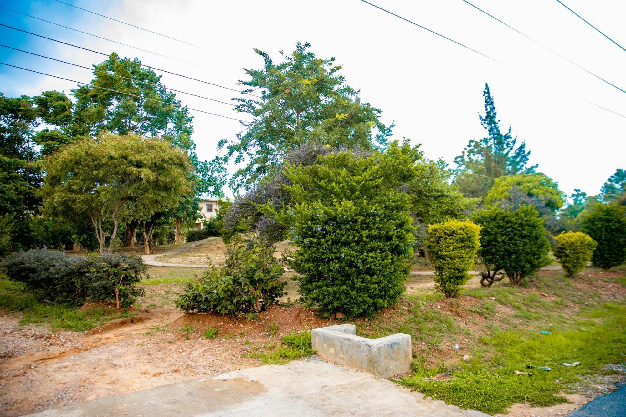 Sanctuary Aparthotel-Ac-Garden- Solar-Wi-Fi -Firepit-Park-Carport Lusaka Dış mekan fotoğraf