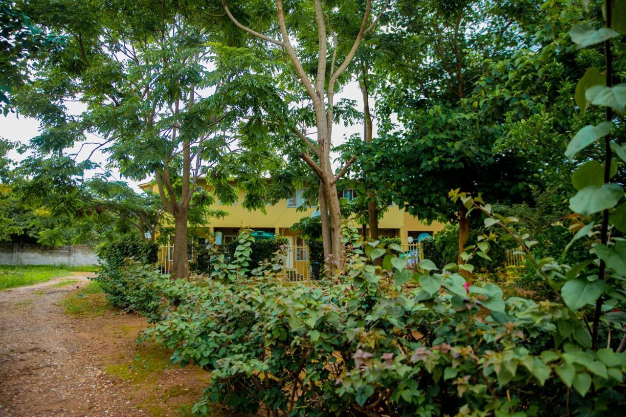 Sanctuary Aparthotel-Ac-Garden- Solar-Wi-Fi -Firepit-Park-Carport Lusaka Dış mekan fotoğraf
